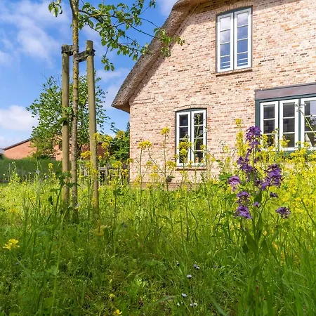 Reetkate & Strohhuette Reetdachhaus Strohhuette Böhl