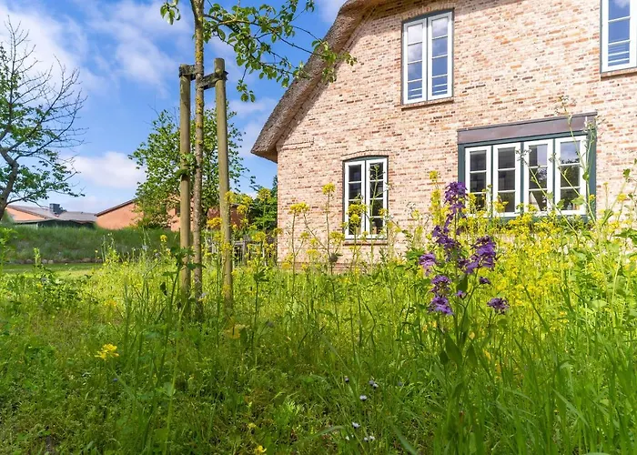 Reetkate & Strohhuette Reetdachhaus Strohhuette Böhl